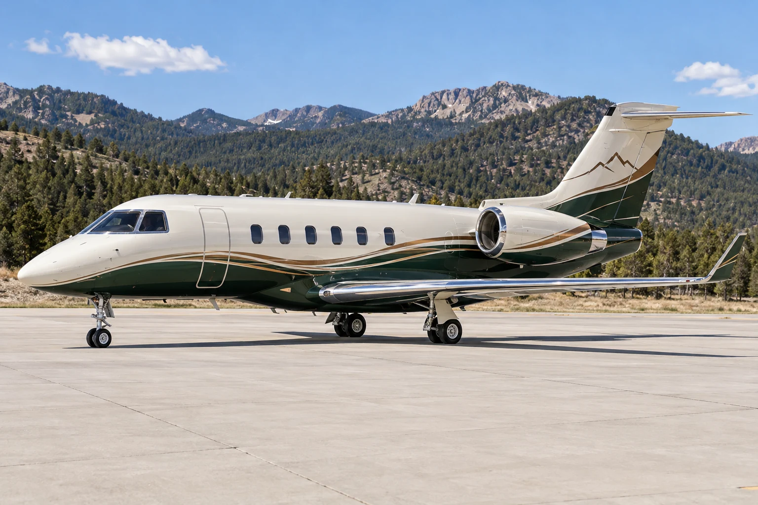 Illustrative ivory and forest-green private jet wrap concept